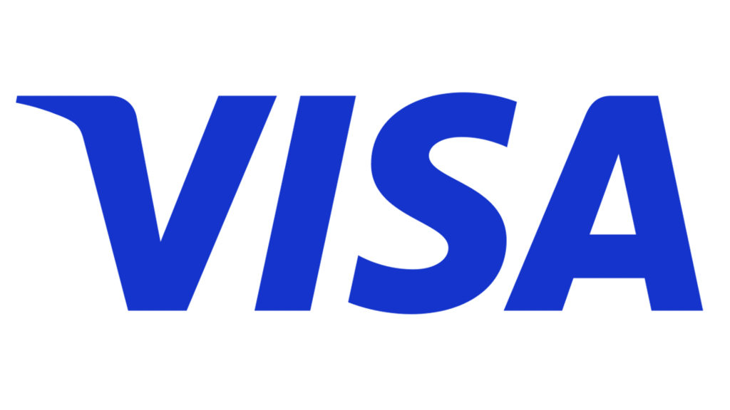 visa payment option icon